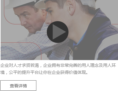典型案例
